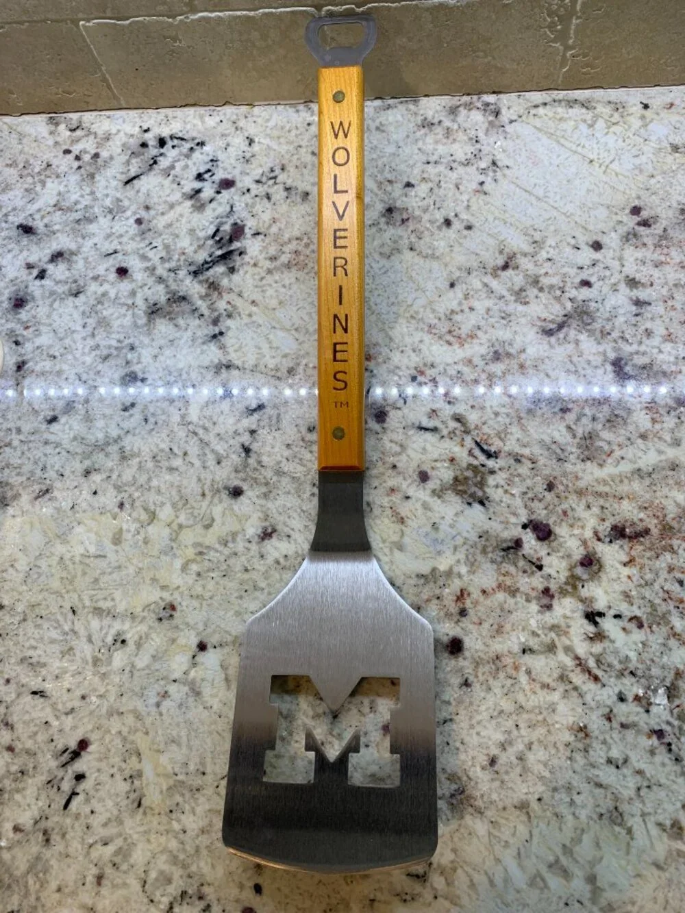 NCAA Michigan Wolverines Classic Series Sportula